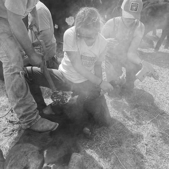 Meet your Posher, Sheridan - Picture 1 of 1